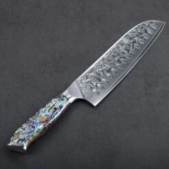 Japanese Chef Knife