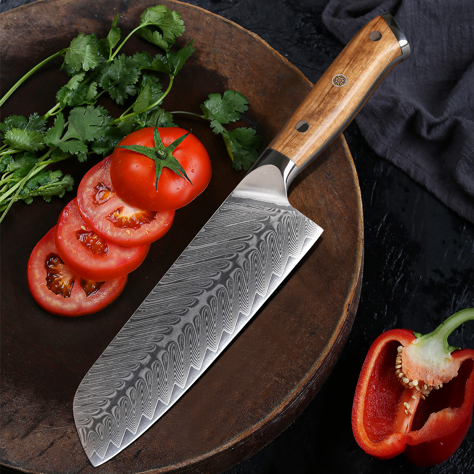 Custom LOGO Japanese Chef Knife