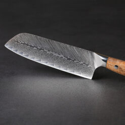 The Best Santoku Knife