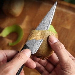 Best Damascus Petty Knife A mainstay of professional Western kitchens, the Petty knife is a small all-purpose knife used for peeling, shaping and slicing fruit and vegetables.