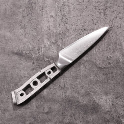 Full tang paring knife blank with three circular cutouts and one rectangular cutout in the handle