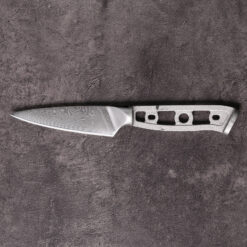 Lightweight paring knife blank with skeletonized handle and pointed Damascus blade