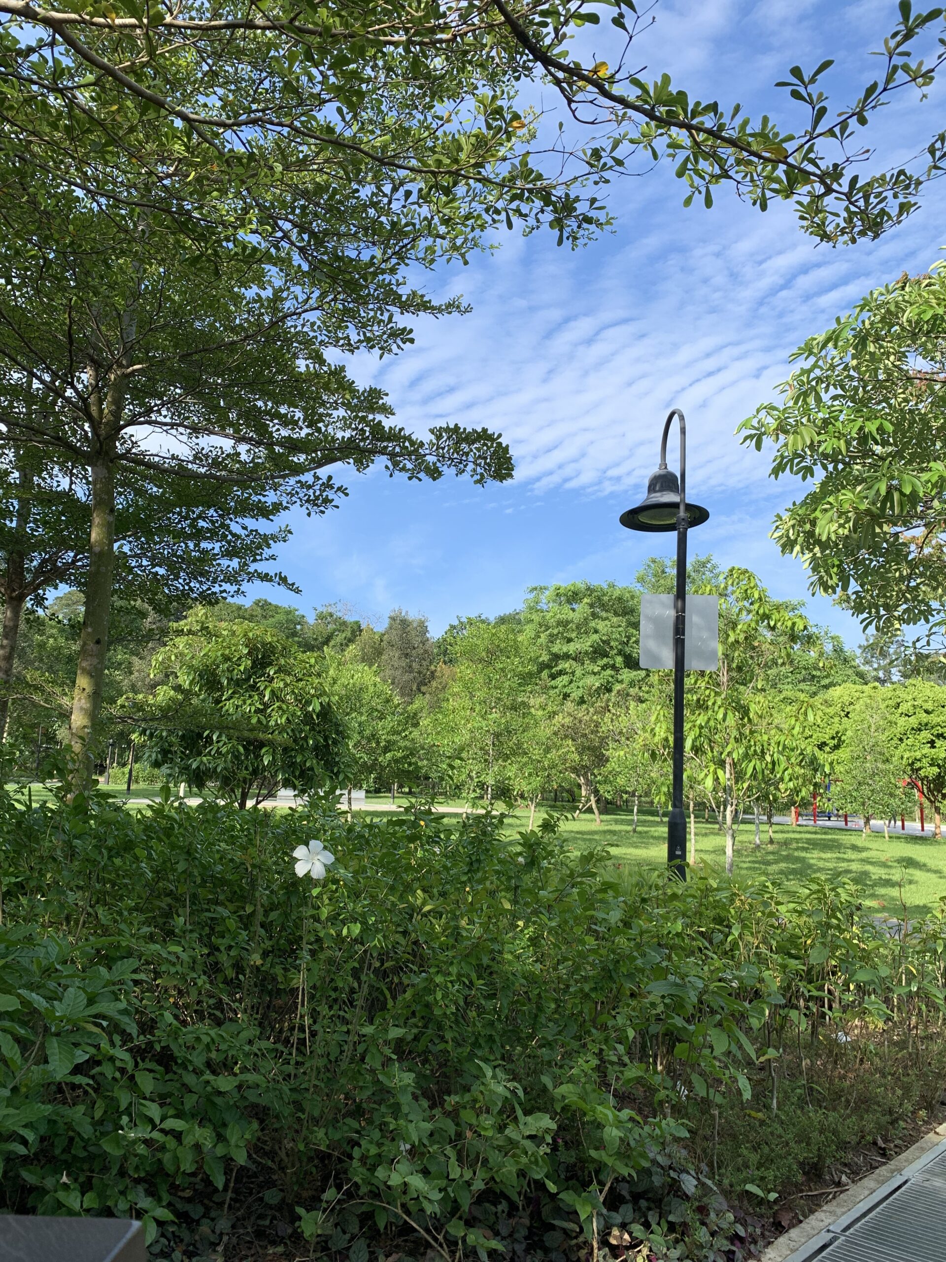 Protecting the Earth