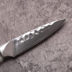 Paring Knife Blade Blank VG10 Damascus Steel